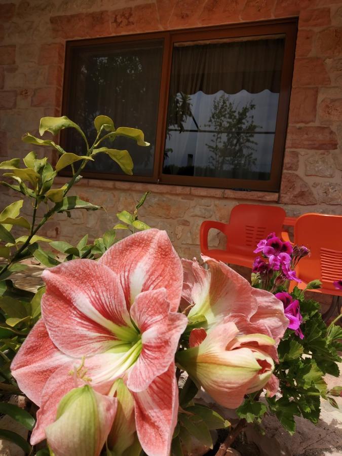 Altin skrapari guesthouse Ksamil Extérieur photo
